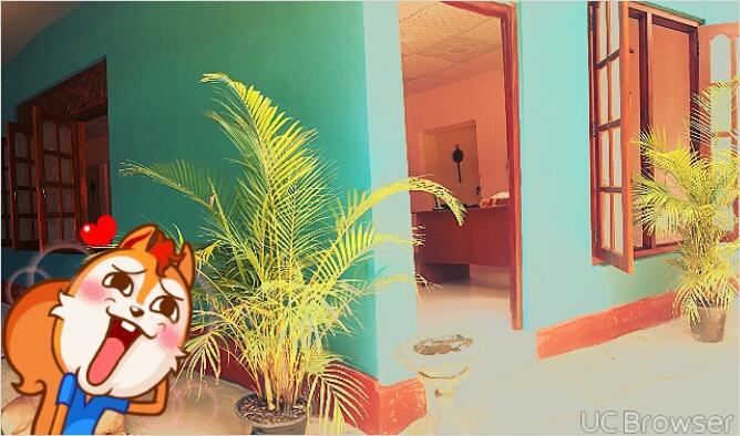 Apple Sara Home Stay Kandy Exterior photo